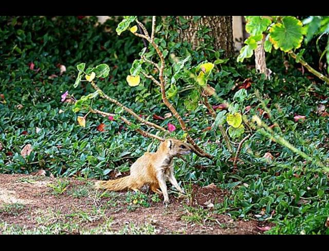 2 BEDROOM TOWNHOUSE FOR SALE IN STRATHAVON